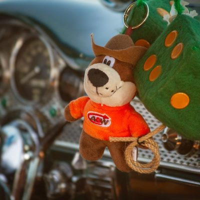 Grin and bear it, Car Show, Strathmore, AB, 2026-07-11
