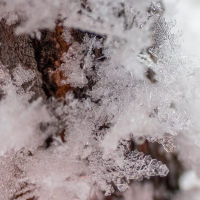 Breaking out the good crystal, Gray Park, Strathmore, AB, 2026-01-04
