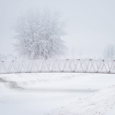 Fog advisory, Tom Sadler Bridge, Strathmore, AB, 2026-01-04