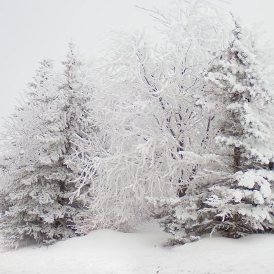 It's a winter blunder land, Thomas Drive, Strathmore, AB, 2026-01-04