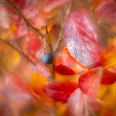 Make yourself at home, My Front Yard, Strathmore, AB, 2025-10-24