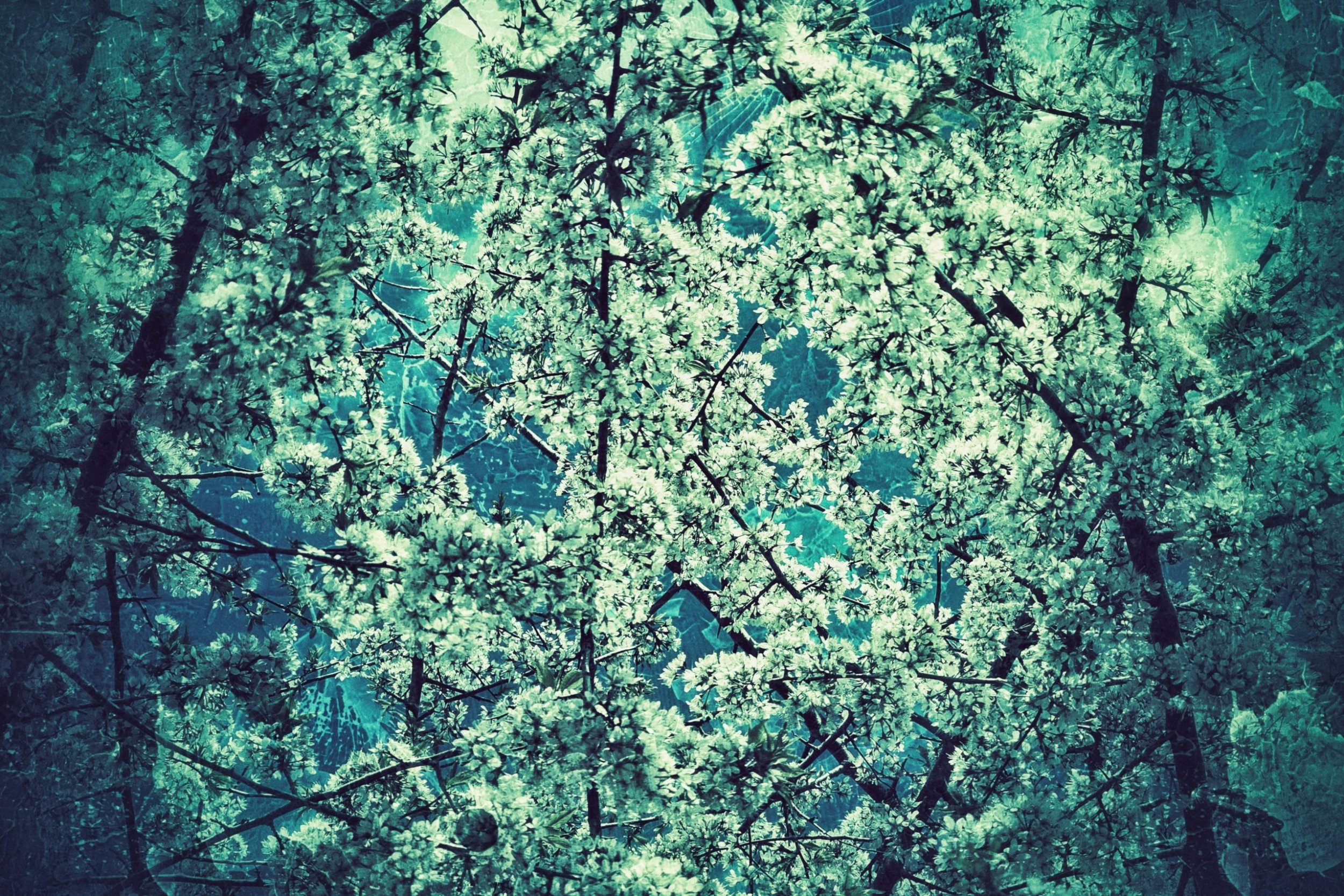 20240518_135705-01-scaled