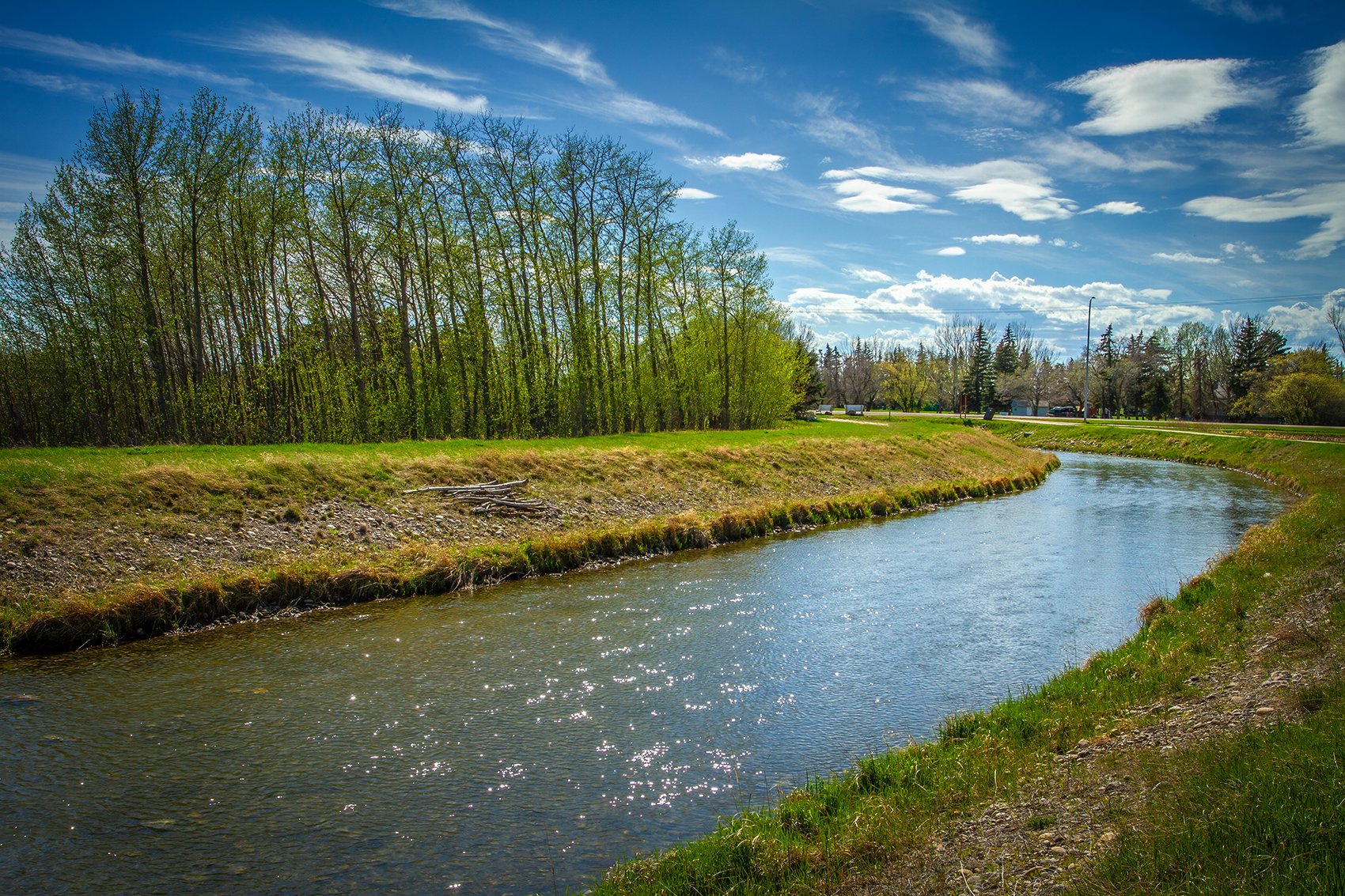 Gray Park is getting green again, Irrigation Canal, Strathmore, AB, 2024-05-12