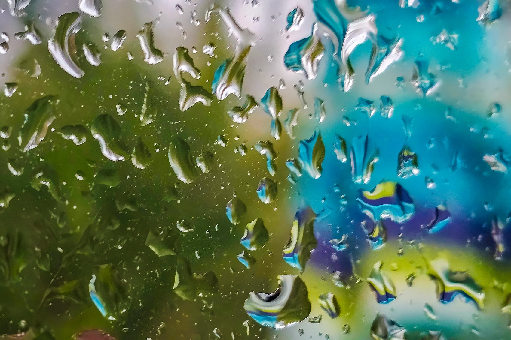 It's a rainy day, My Back Deck, Strathmore, AB, 2024-08-28