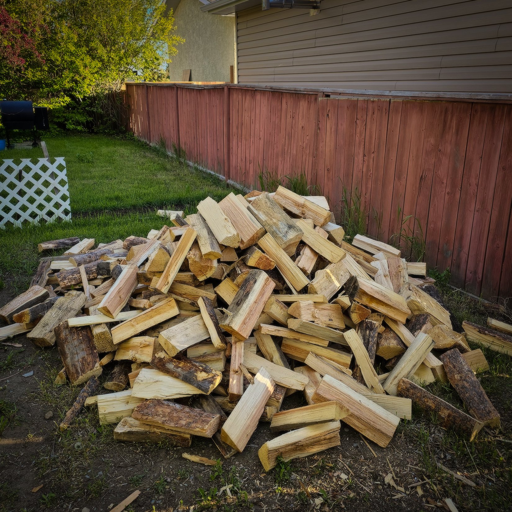 Ive-got-wood-My-Backyard-Strathmore-AB-2024-05-31