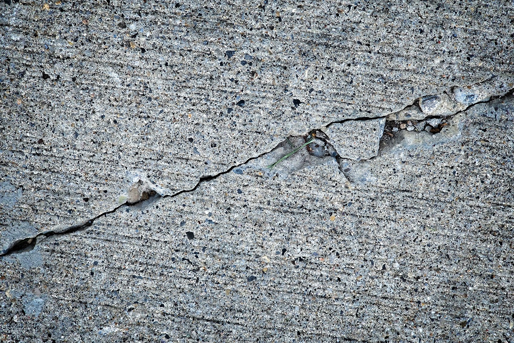 Just a bit cracked, My Front Sidewalk, Strathmore, AB, 2024-09-05
