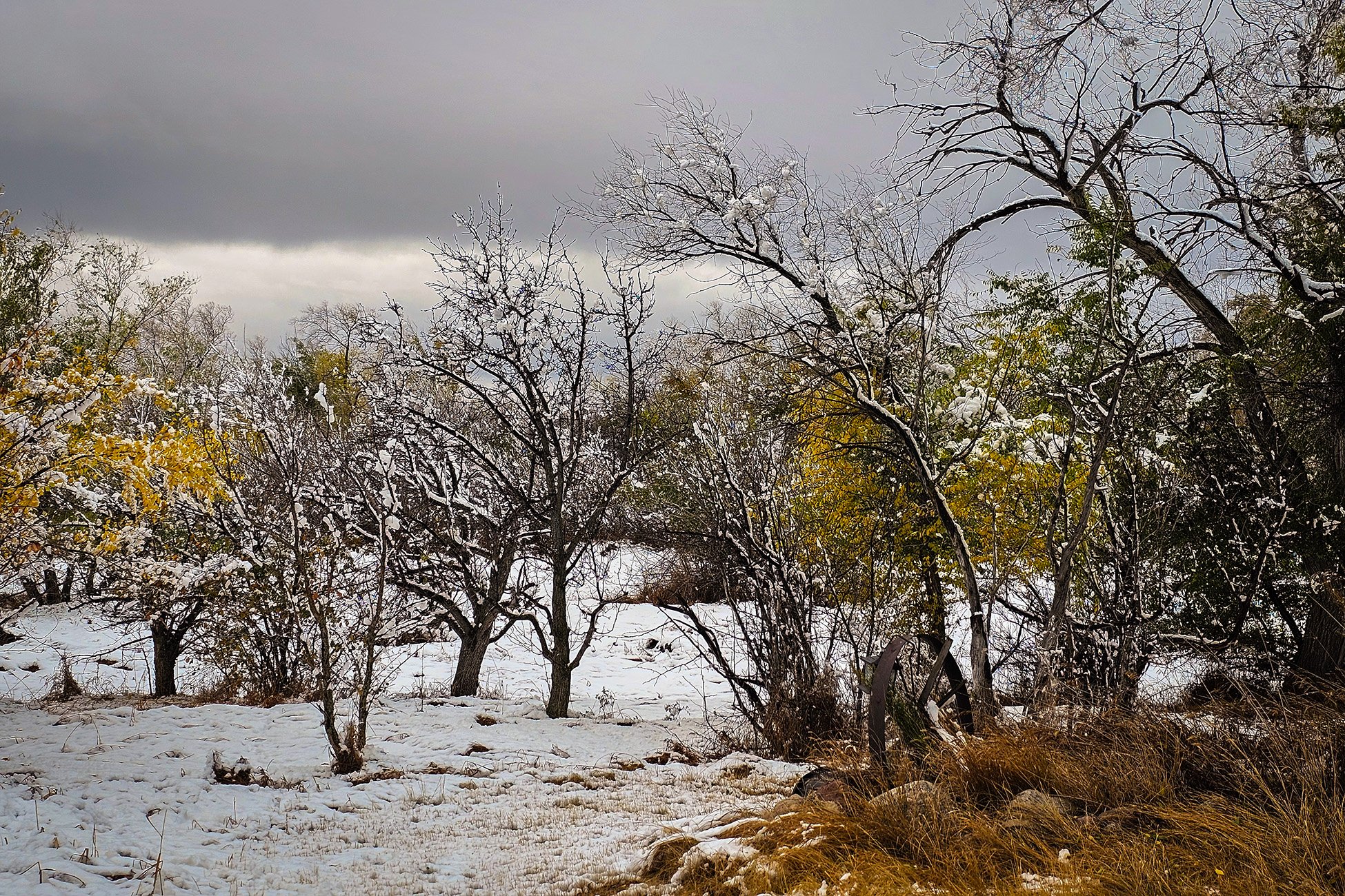 Perfectly imperfect, Sunnyridge Farm, Special Areas No. 4, Alberta, 2025-10-12