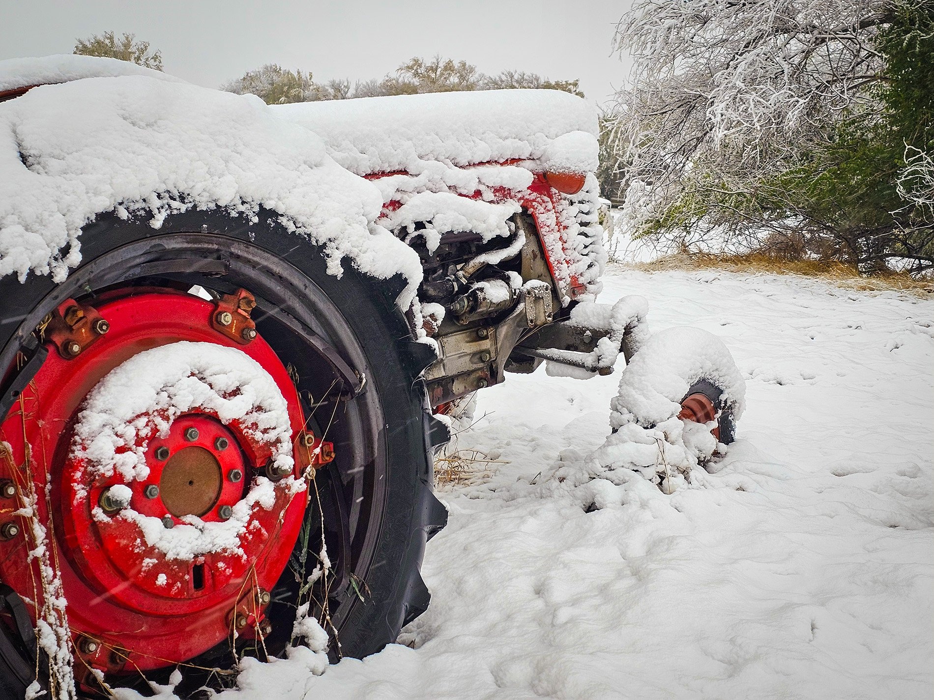 Snow job, Sunnyridge Farm, Special Areas No. 4, Alberta, 2025-10-12