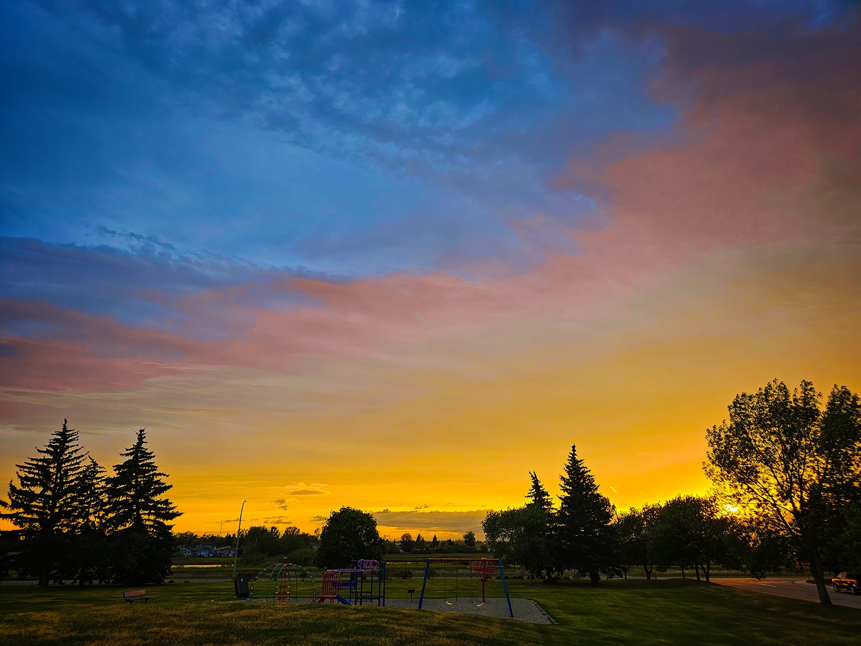 So long and thanks for all the fish, Thornbriar Green, Strathmore, AB, 2024-08-27