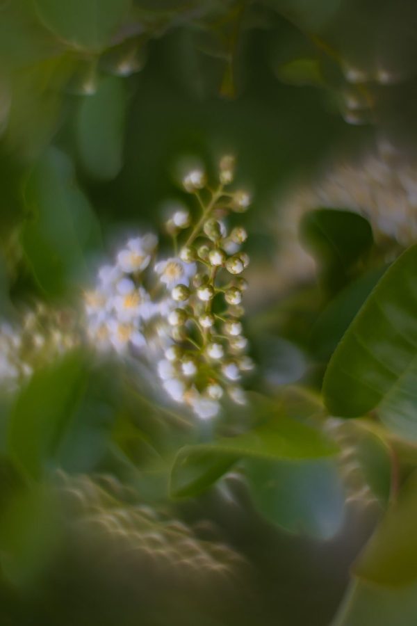 Your-balls-are-hanging-out-Lambert-Park-Strathmore-AB-2025-05-22-edited
