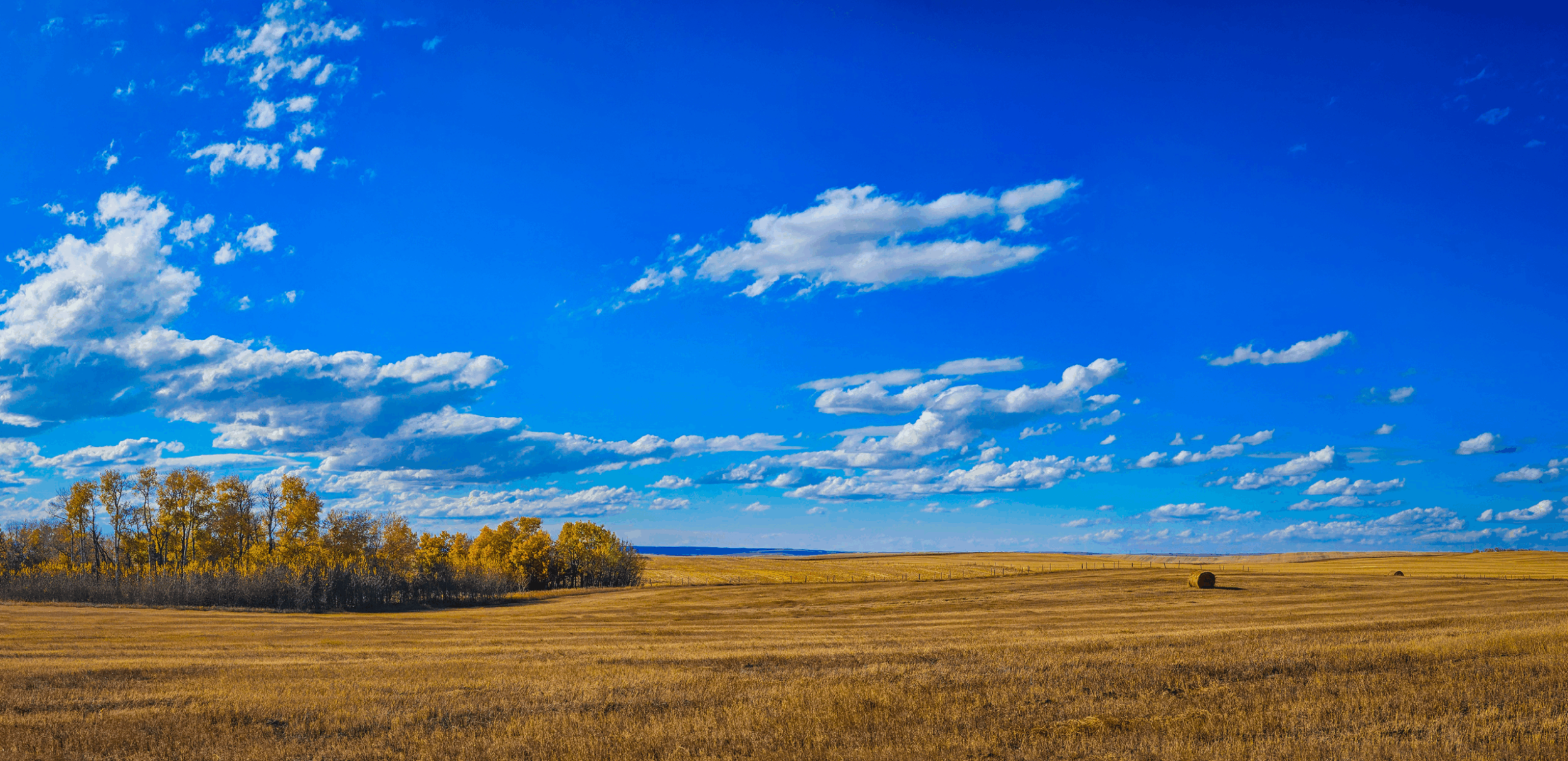 Wabi sabi moment, Sunnyridge Farm, Special Areas No. 4, Alberta, 2025-10-11