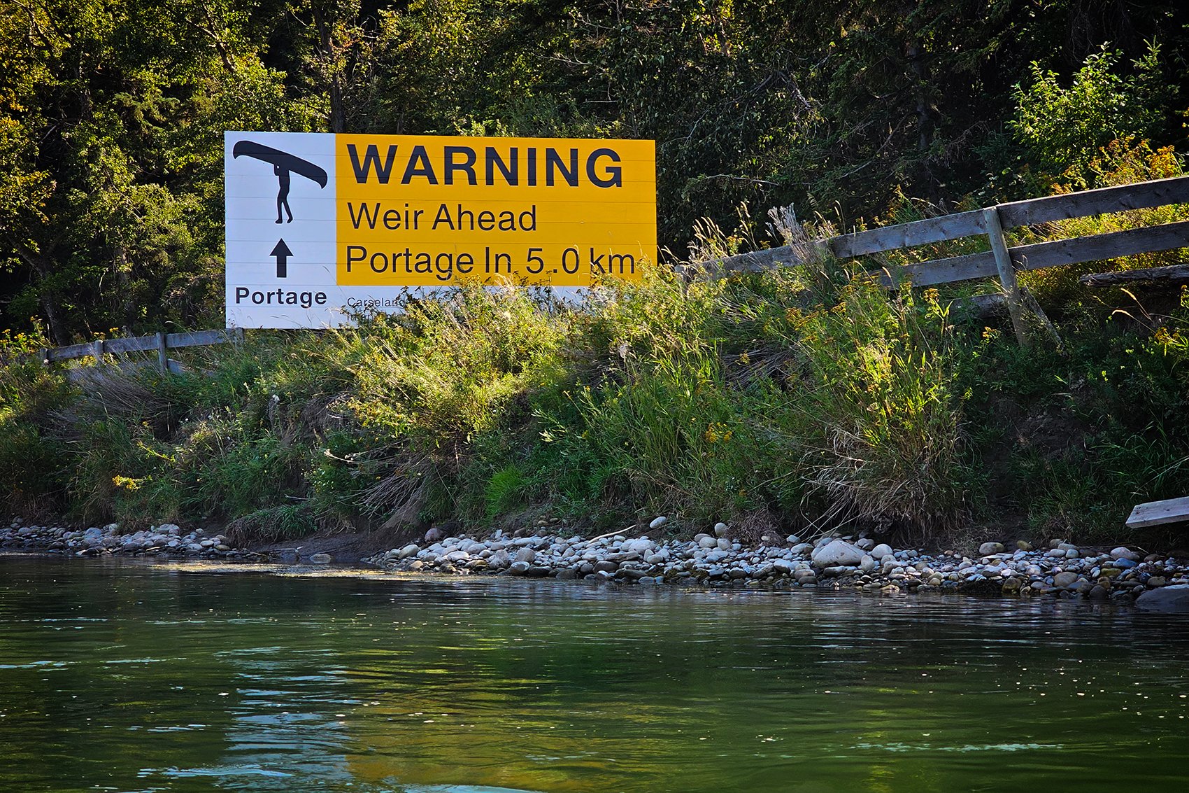 You gonna die, McKinnon Flats to Johnson's Island, Bow River Float, 2024-09-08